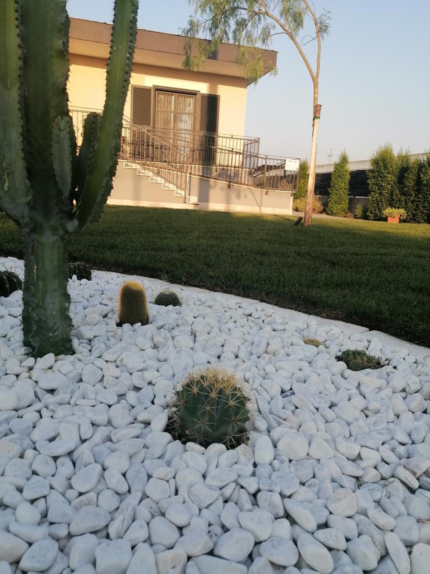 La Casa Del Borgo-Intero Appartamento Latina Exterior foto